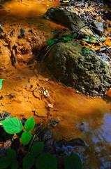 Forest brook with high content of iron which gives red color