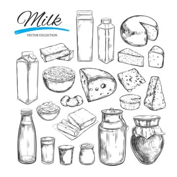 Dairy products vector collection. Milk products, cheese , butter, sour cream, curd, yogurt. Farm foods. Farm landscape with cow. Hand drawn illustration. Isolated objects on white