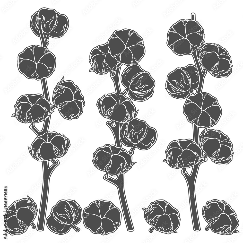 Poster set of illustrations with cotton branches. isolated vector objects on white background.