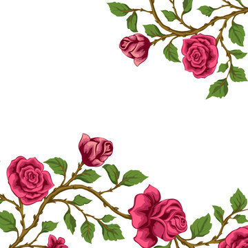Vector  border with roses. Floral frame.