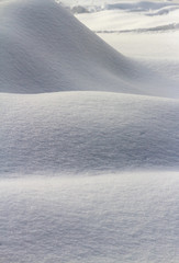 Fresh snow after a storm