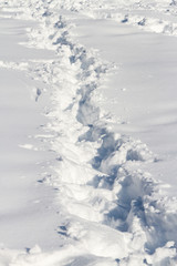 Fresh snow after a storm