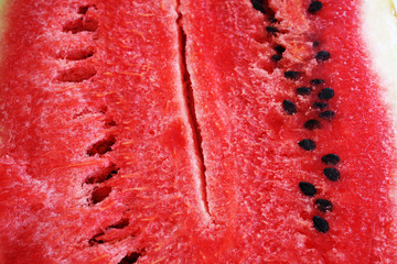 watermelon macro