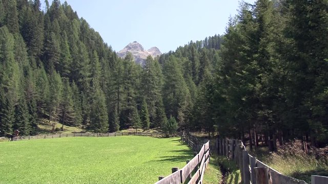 Volkzeinerh&uuml;tte, Volkzeiner H&uuml;tte, Volkzeiner, Talschluss, Alm, Haus, H&auml;user, bewirtschaftet, Winkeltal, Weg, Villgraten, Au&szlig;ervillgraten, Osttirol, 