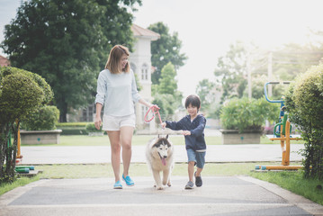 mother and son walking with a siberian husky don in the park © lalalululala