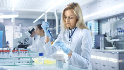 Female Research Scientist Uses Micropipette Filling Test Tubes in a Big Modern Laboratory. In the...