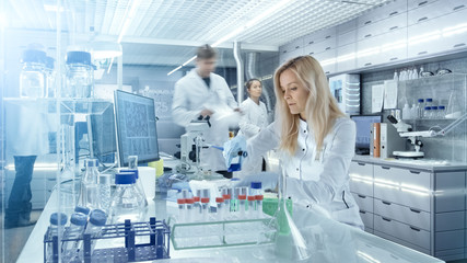 Team of Research Scientists Working With Personal Computer, Analysing Test Trial New Generation Drug Data. They Work in a Modern Laboratory/ Medical Center.