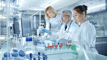 Team of Research Scientists Working With Personal Computer, Analysing Test Trial New Generation...