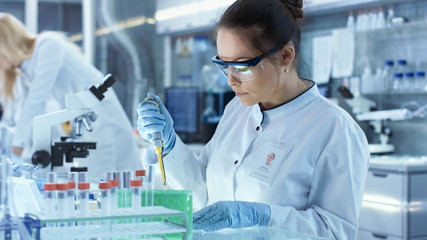 Female Research Scientist Uses Micropipette Filling Test Tubes in a Big Modern Laboratory. In the...