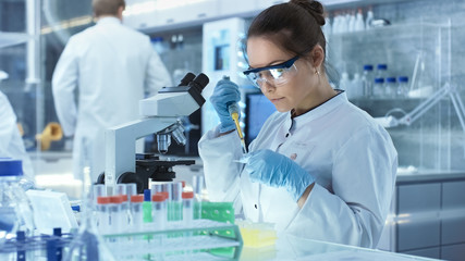 Female Research Scientist Uses Micropipette Filling Test Tubes in a Big Modern Laboratory. In the...