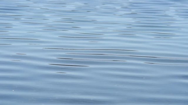 The wind blows on the surface of the pond. 