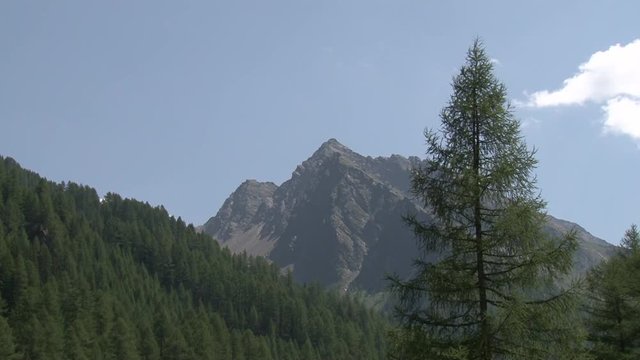 Volkzeinerh&uuml;tte, Volkzeiner H&uuml;tte, Volkzeiner, Talschluss, Alm, Haus, H&auml;user, bewirtschaftet, Winkeltal, Weg, Villgraten, Au&szlig;ervillgraten, Osttirol, 
