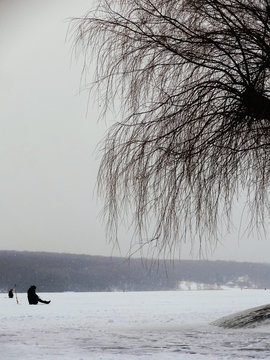 winter, snow, cold, ice, man, fisherman, fishing, rod tree, ternopol