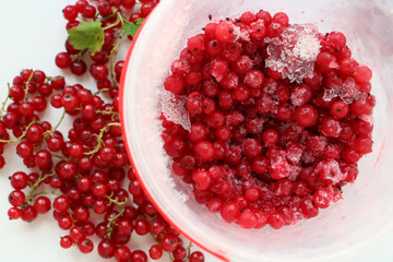 Frozen cranberries and red currant with fresh berries.