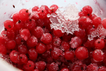 Frozen cranberries and red currant with fresh berries.