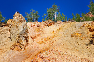 Trees standing on the eroded terrain of limestone ground