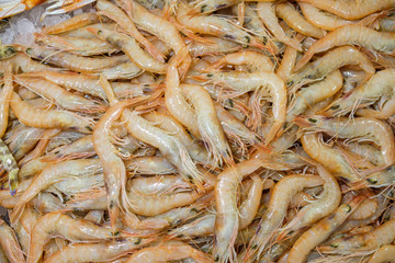 Shrimps