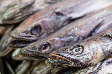 Raw fish