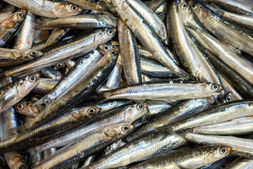 Obraz premium Raw fish