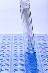 Blue Liquid in Glass Tube Lab Test tools on plastic stand holder, group of five