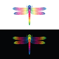 Vector of colorful dragonfly design on white background and  on black background . Insect Animal.
