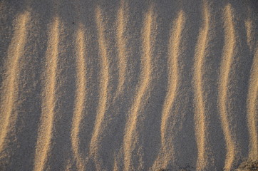 The sand on the Zambezi river. Zimbabwe.