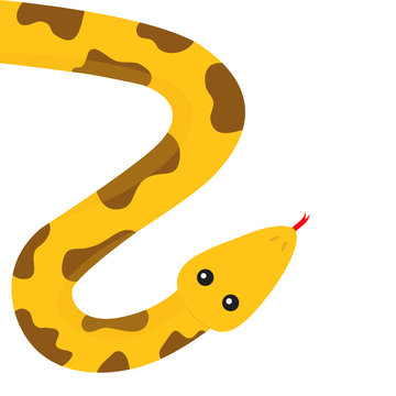 Yellow python snake red tongue. Golden crawling serpent with brown spot. Cute cartoon character. Flat design. Isolated. White background.