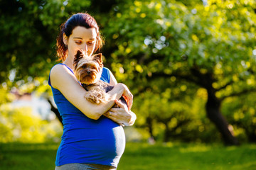 Young pregnant fitness woman in blue shirt with Yorkshire terrier hands relaxing after workout in beautiful summer park background. Pregnancy, sport, pet lover and lifestyle concept.