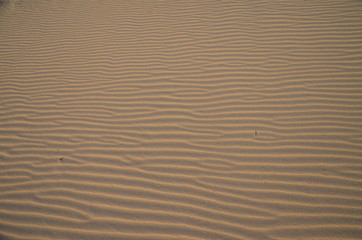 Fototapeta na wymiar The sand on the Zambezi river. Zimbabwe.