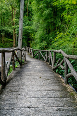 Concrete Pathway in garden