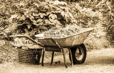 Fototapeta na wymiar old wheelbarrow