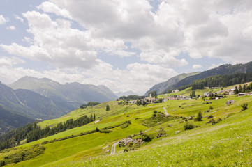 Fototapeta na wymiar Ftan, Bergdorf, Engadin, Unterengadin, Alpen, Graubünden, via Engiadina, Wanderweg, Bergbauer, Landwirtschaft, Sommer, Schweiz