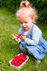 raspberry