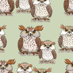 pattern of the cartoon owls