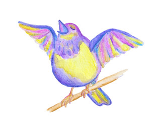 Rainbow titmouse singing song. Doodle style.Watercolor hand drawn kids illustration. Isolated objects on a white background.