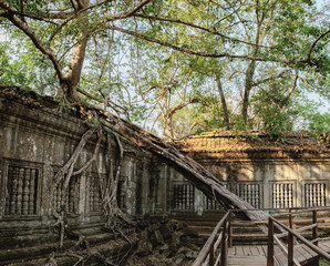 Fototapeta na wymiar Prasat Beng Mealea in Angkor Complex, Siem Reap, Cambodia. It is largely unrestored, old trees and brush growing amidst towers and many of its stones lying in great heaps. Ancient Khmer architecture.