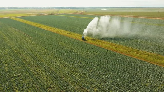 Aerial view: Irrigation equipment watering cabbage field. Irrigation system watering farm field, 4K, aerial footage.
