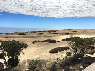 Dune Landscape