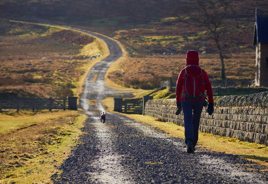 A hiker exploring the English Countryside, Muggleswick Common near Edmundbyers, England UK.