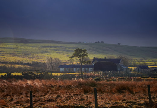 Farm buildings on Muggleswick Common near Edmundbyers, England, UK.