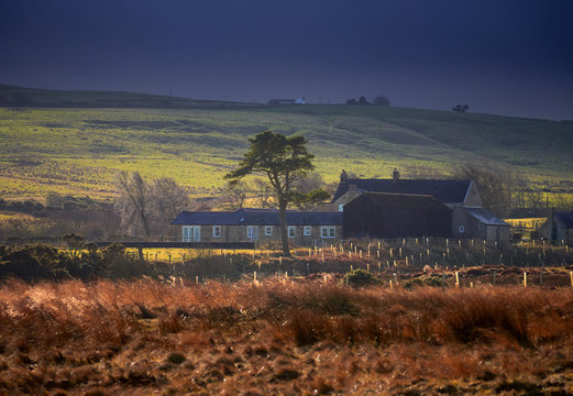 Farm buildings on Muggleswick Common near Edmundbyers, England, UK.