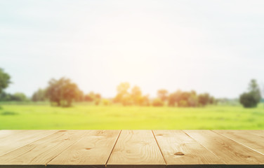 Empty wooden table with blurred green and sky natural abstract background.