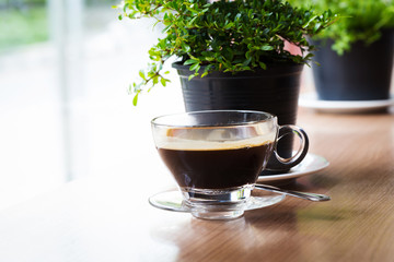 Coffee cup with house plant