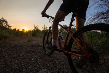 Young sporty man riding a bicycle at sunset. Silhouette of a bicyclist