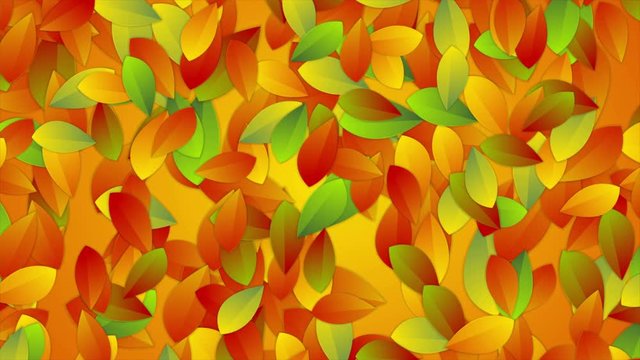 Bright autumn leaves abstract video animation