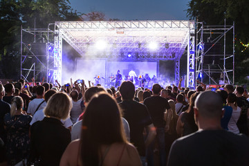 Rear view of crowd with arms outstretched at concert. cheering crowd at rock concert. silhouettes...