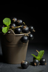 Black currant  isolated