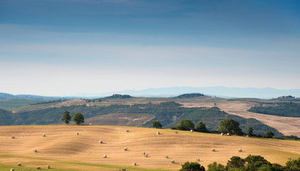 Beautiful harmonious landscape with twisted haystacks in the field in Tuscany, Italy in sunlight. (Crop, welfare - concept)