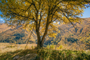 Fototapeta premium autumn landscape of the mountains in Georgia