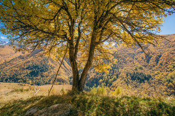 autumn landscape of the mountains in Georgia